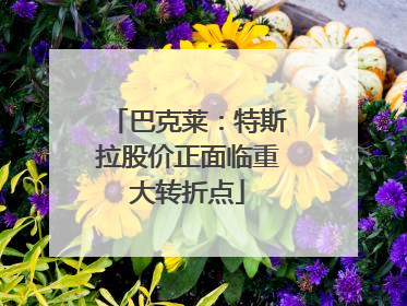 巴克莱：特斯拉股价正面临重大转折点