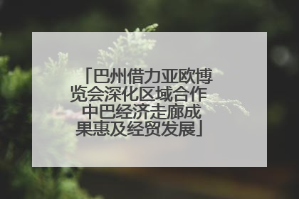 巴州借力亚欧博览会深化区域合作 中巴经济走廊成果惠及经贸发展