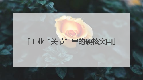 工业“关节”里的硬核突围