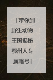 带你到野生动物王国揭秘鄂州人专属暗号