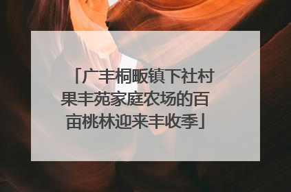 广丰桐畈镇下社村果丰苑家庭农场的百亩桃林迎来丰收季