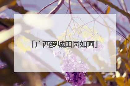 广西罗城田园如画