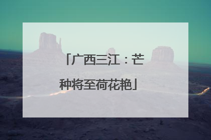 广西三江：芒种将至荷花艳
