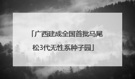 广西建成全国首批马尾松3代无性系种子园