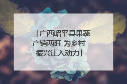 广西昭平县果蔬产销两旺 为乡村振兴注入动力