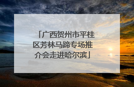 广西贺州市平桂区芳林马蹄专场推介会走进哈尔滨