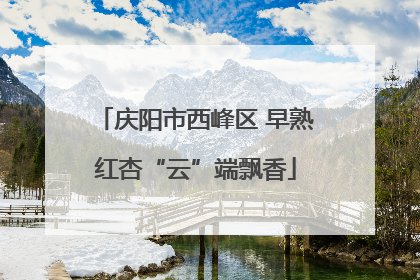 庆阳市西峰区 早熟红杏“云”端飘香