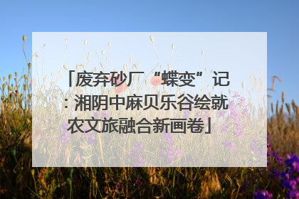 废弃砂厂“蝶变”记：湘阴中麻贝乐谷绘就农文旅融合新画卷