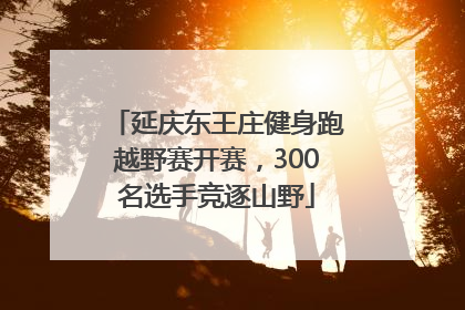 延庆东王庄健身跑越野赛开赛，300名选手竞逐山野