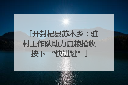 开封杞县苏木乡：驻村工作队助力夏粮抢收按下 “快进键”