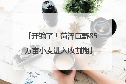开镰了！菏泽巨野85万亩小麦进入收割期