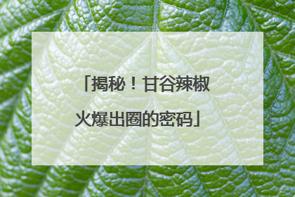 揭秘！甘谷辣椒火爆出圈的密码