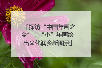 探访“中国年画之乡”：“小”年画绘出文化润乡新图景