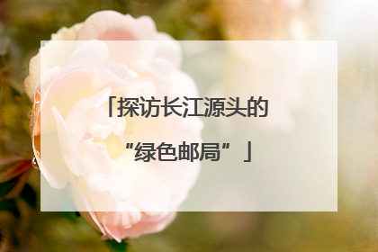 探访长江源头的“绿色邮局”