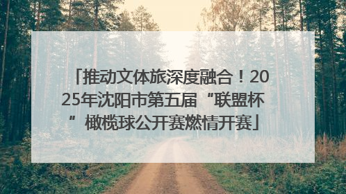 推动文体旅深度融合！2025年沈阳市第五届“联盟杯”橄榄球公开赛燃情开赛