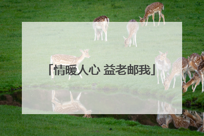 情暖人心 益老邮我