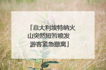 意大利埃特纳火山突然短暂喷发 游客紧急撤离