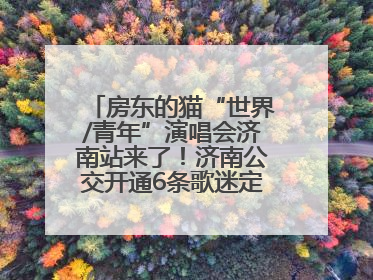 房东的猫“世界/青年”演唱会济南站来了！济南公交开通6条歌迷定制专线