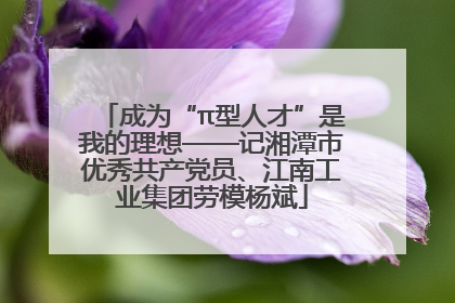 成为“π型人才”是我的理想——记湘潭市优秀共产党员、江南工业集团劳模杨斌