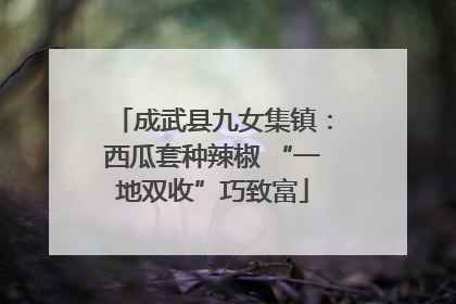 成武县九女集镇：西瓜套种辣椒 “一地双收”巧致富