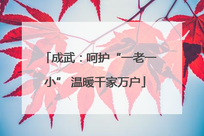成武：呵护“一老一小” 温暖千家万户