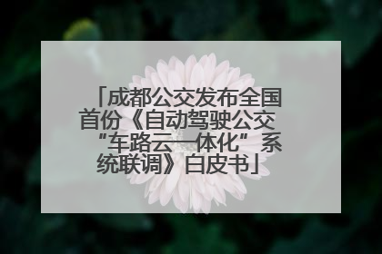 成都公交发布全国首份《自动驾驶公交“车路云一体化”系统联调》白皮书