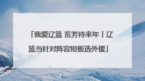 我爱辽篮 蓄芳待来年丨辽篮当针对阵容短板选外援