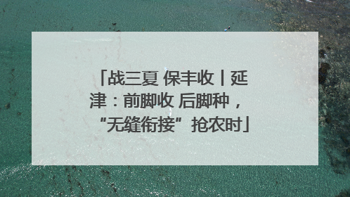战三夏 保丰收丨延津：前脚收 后脚种，“无缝衔接”抢农时