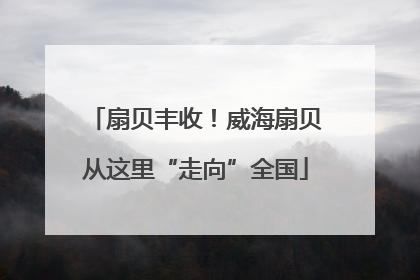扇贝丰收！威海扇贝从这里“走向”全国