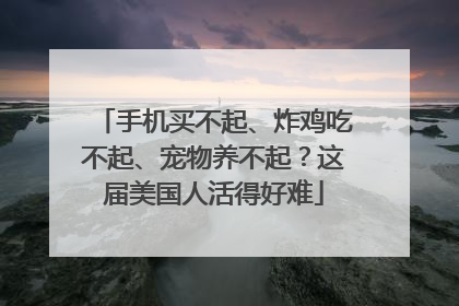 手机买不起、炸鸡吃不起、宠物养不起？这届美国人活得好难