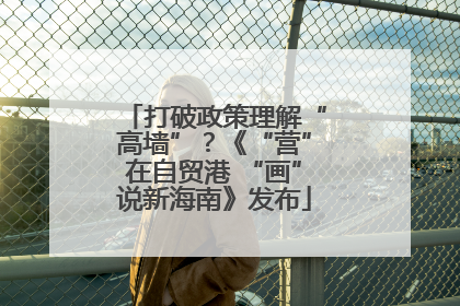 打破政策理解“高墙”？《“营”在自贸港 “画”说新海南》发布