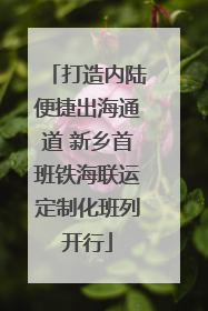 打造内陆便捷出海通道 新乡首班铁海联运定制化班列开行