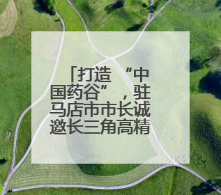 打造 “中国药谷”，驻马店市市长诚邀长三角高精尖企业入驻