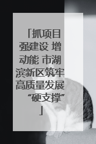 抓项目 强建设 增动能 市湖滨新区筑牢高质量发展“硬支撑”