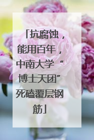 抗腐蚀，能用百年，中南大学“博士天团”死磕覆层钢筋