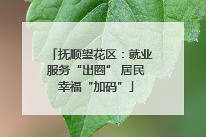 抚顺望花区：就业服务“出圈” 居民幸福“加码”