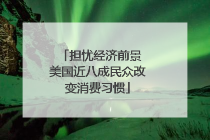 担忧经济前景 美国近八成民众改变消费习惯