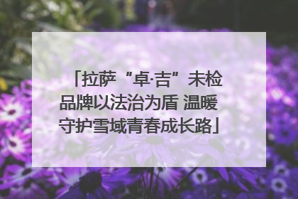 拉萨“卓·吉”未检品牌以法治为盾 温暖守护雪域青春成长路