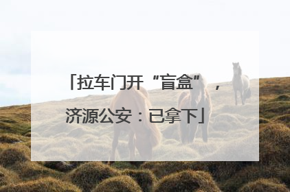 拉车门开“盲盒”，济源公安：已拿下