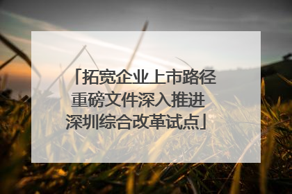 拓宽企业上市路径 重磅文件深入推进深圳综合改革试点