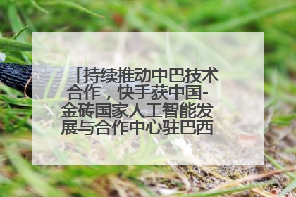 持续推动中巴技术合作，快手获中国-金砖国家人工智能发展与合作中心驻巴西成果转化中心授牌