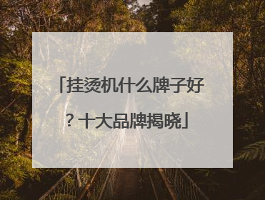 挂烫机什么牌子好？十大品牌揭晓