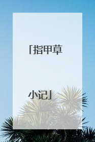 指甲草小记