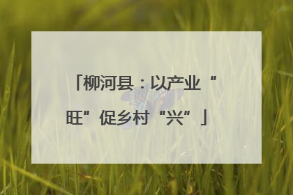 柳河县：以产业“旺”促乡村“兴”
