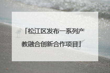 松江区发布一系列产教融合创新合作项目