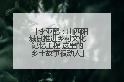 李亚鹤：山西阳城县推进乡村文化记忆工程 这里的乡土故事很动人