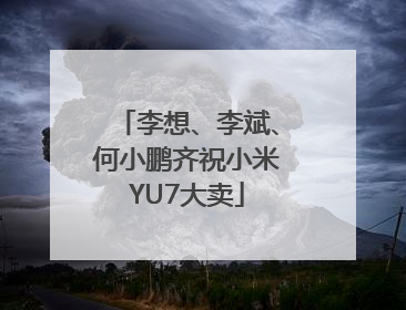 李想、李斌、何小鹏齐祝小米YU7大卖
