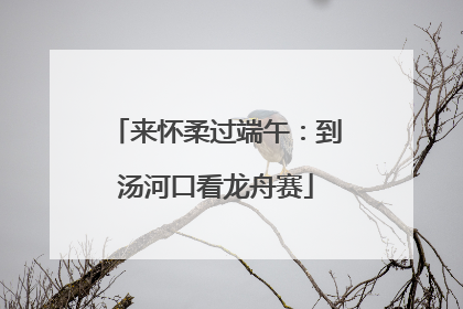 来怀柔过端午：到汤河口看龙舟赛