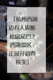 杭州西湖边有人拔断松鼠尾巴？西湖景区：正展开调查核实