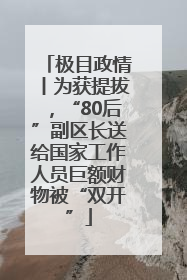 极目政情丨为获提拔，“80后”副区长送给国家工作人员巨额财物被“双开”
